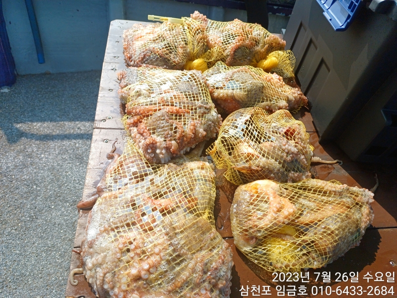 삼천포 임금호 의 조황일지 이미지 - 9