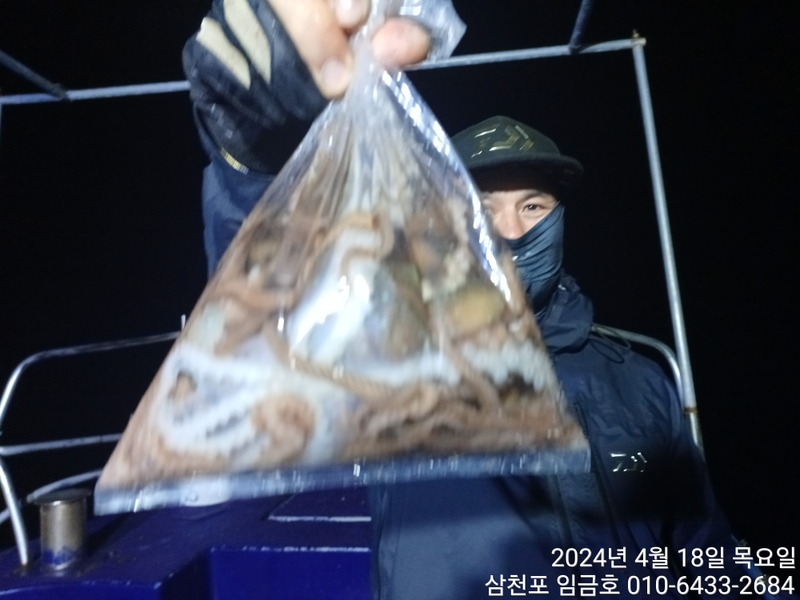 삼천포 임금호 의 조황일지 이미지 - 7