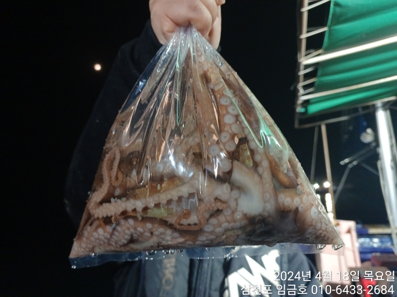 삼천포 임금호 의 조황일지 이미지 - 10