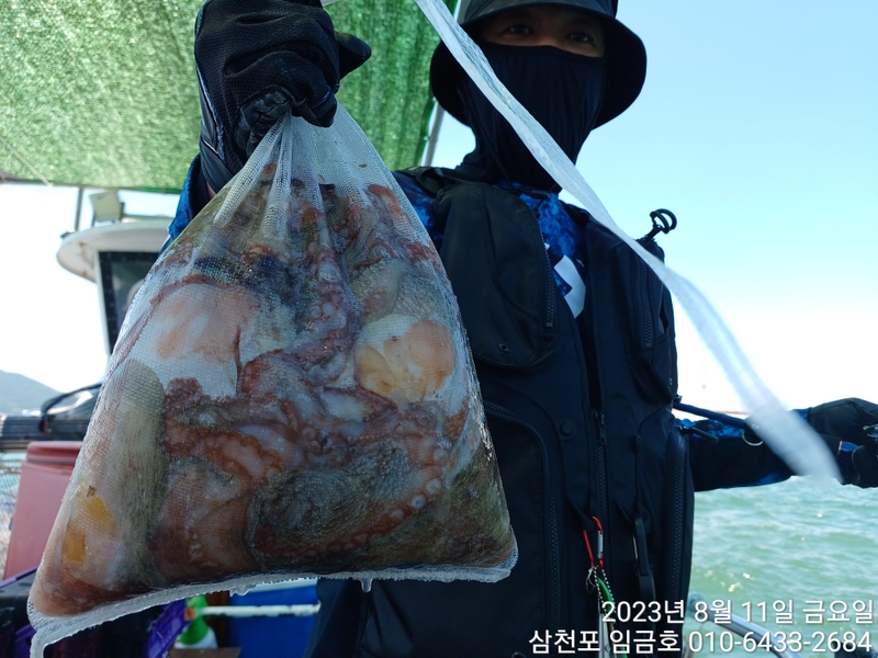 삼천포 임금호 의 조황일지 이미지 - 7