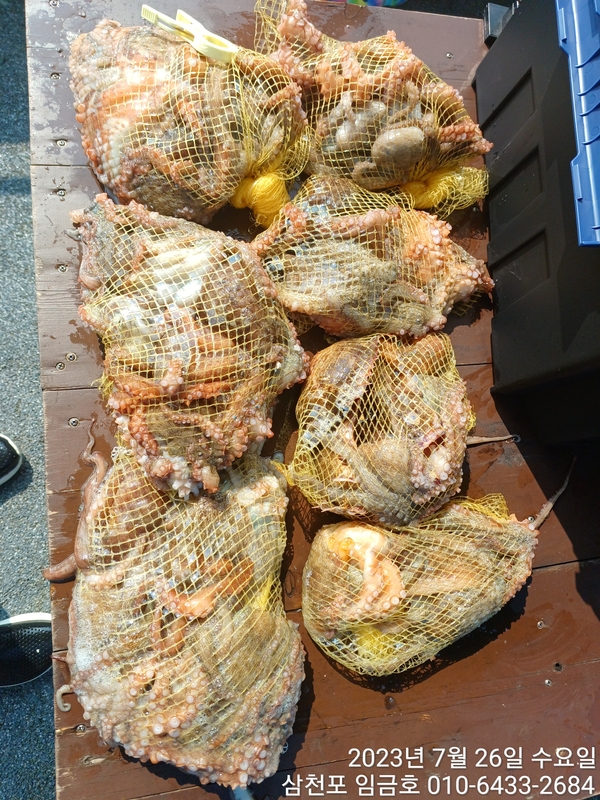 삼천포 임금호 의 조황일지 이미지 - 8