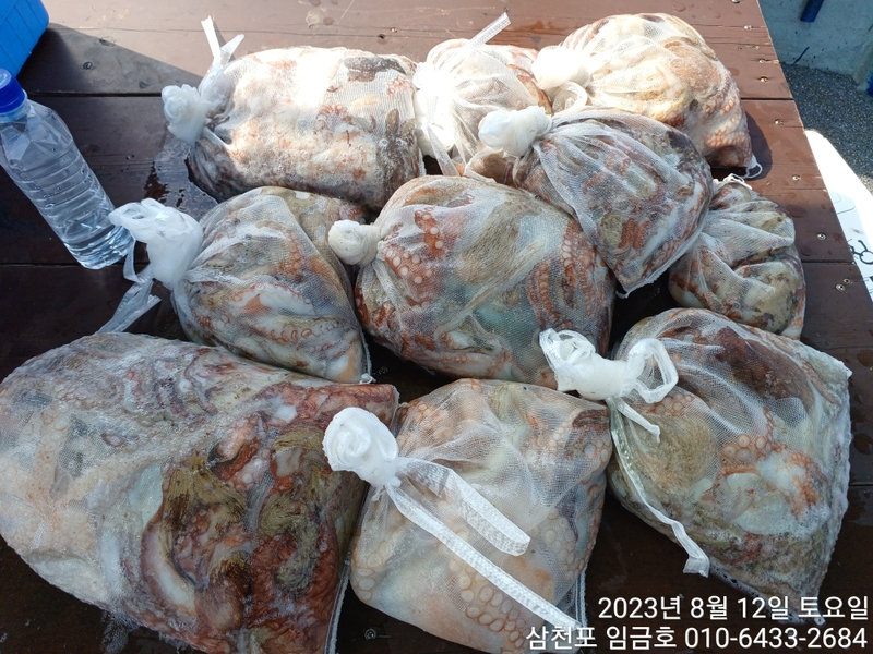 삼천포 임금호 의 조황일지 이미지 - 9