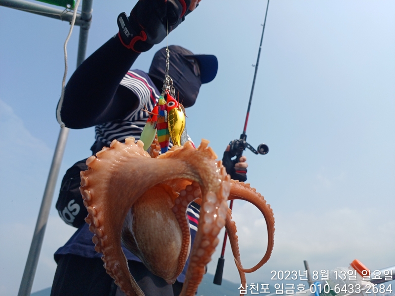 삼천포 임금호 의 조황일지 이미지 - 3