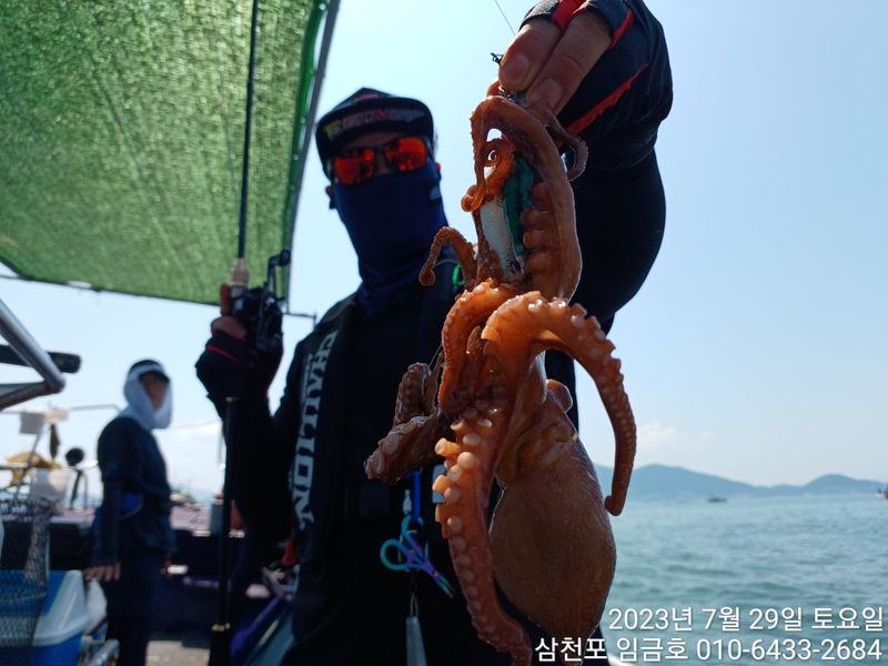 삼천포 임금호 의 조황일지 이미지 - 2