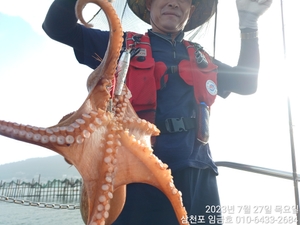 삼천포 임금호 돌문어 조기철수 내일5자리여유  선상낚시로 잡은 물고기 조황