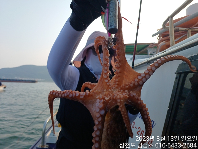 삼천포 임금호 의 조황일지 이미지 - 0