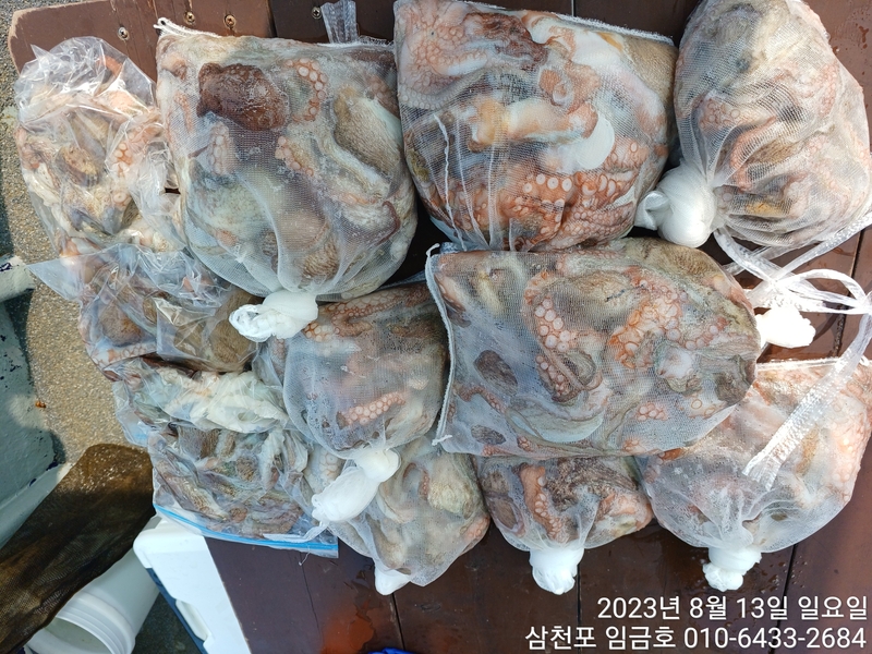 삼천포 임금호 의 조황일지 이미지 - 8