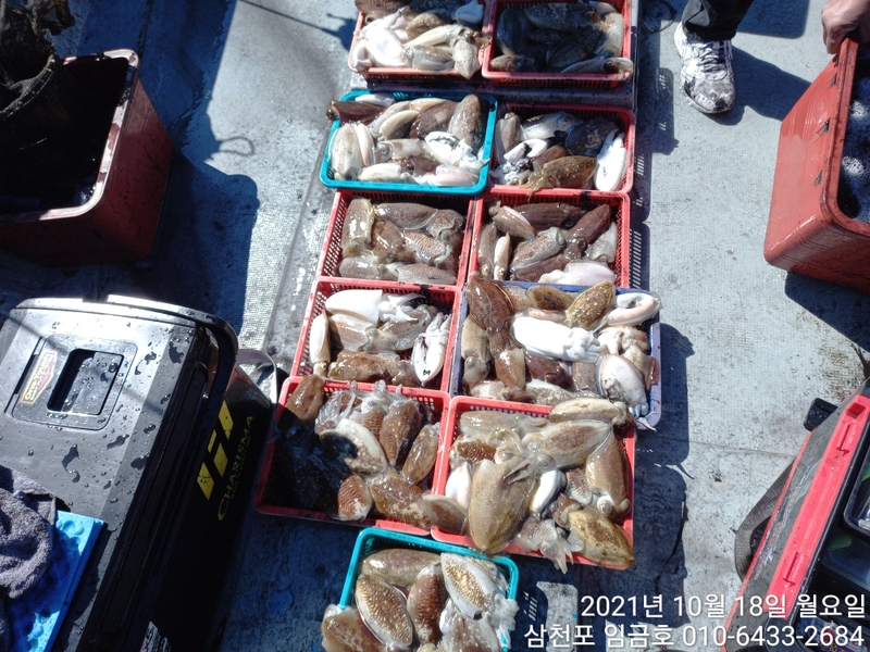 해당 선사를 대표하는 이미지