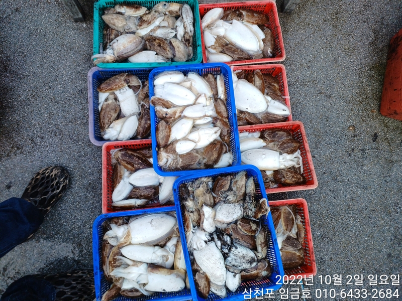 해당 선사를 대표하는 이미지