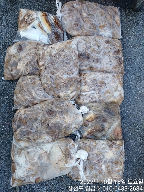 해당 선사를 대표하는 이미지