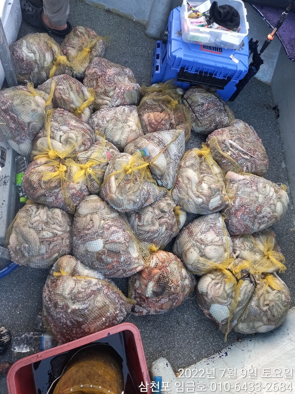 해당 선사를 대표하는 이미지