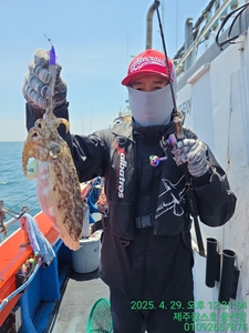 4월29일 제주잡스호 갑오징어조황입니다 ㅣ 선상낚시로 잡은 물고기 조황