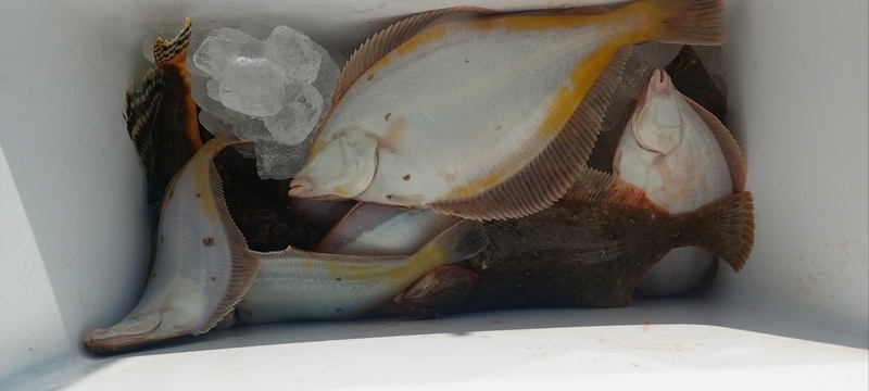 해당 선사를 대표하는 이미지