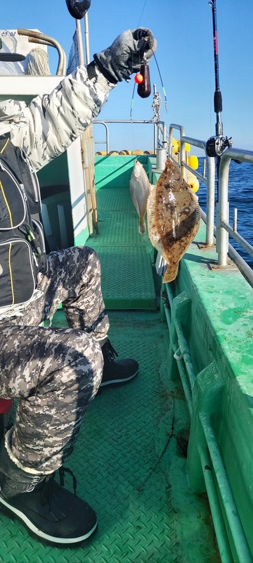 해당 선사를 대표하는 이미지