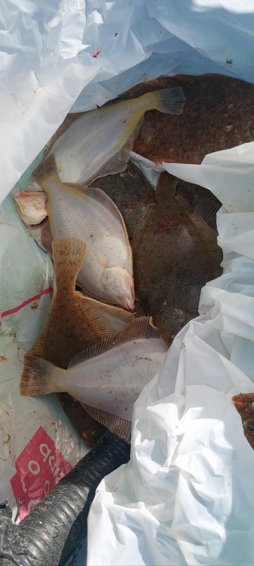 해당 선사를 대표하는 이미지