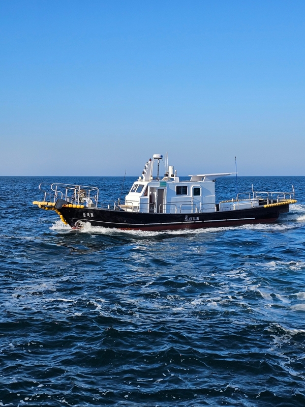 해당 선사를 대표하는 이미지