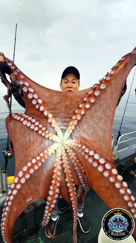 해당 선사를 대표하는 이미지