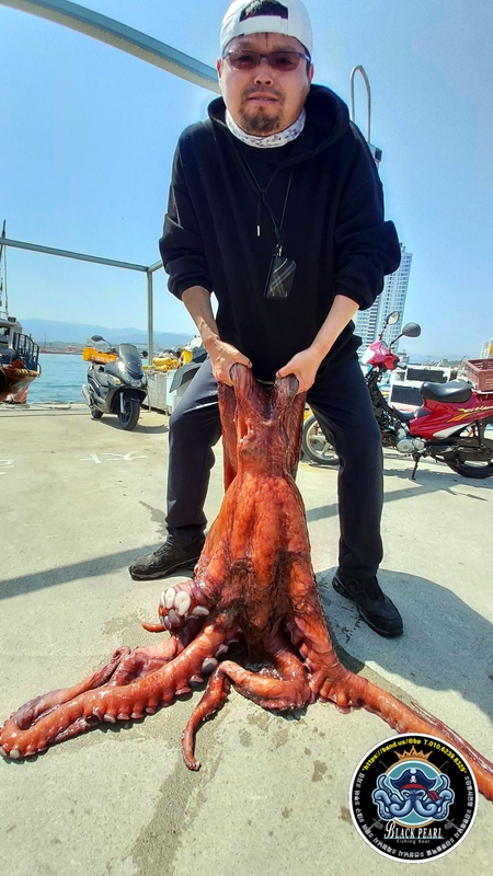 해당 선사를 대표하는 이미지