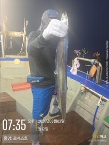 갈치 갈치 갈치 피딩이... 선상낚시로 잡은 물고기 조황