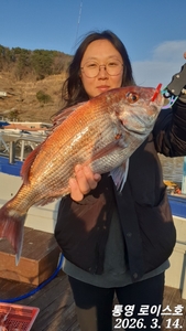 타이라바 출항안내 선상낚시로 잡은 물고기 조황