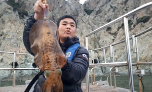 무늬오징어 팁런 출조합니다 선상낚시로 잡은 물고기 조황