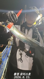 풀치들속 대치 골라내기 선상낚시로 잡은 물고기 조황