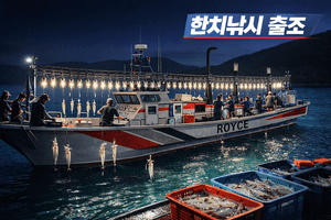 토욜 한치나갑니다 선상낚시로 잡은 물고기 조황