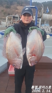 타이라바 철수조황입니다  선상낚시로 잡은 물고기 조황