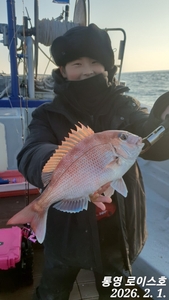 내일 타이라바 출항확정 선상낚시로 잡은 물고기 조황