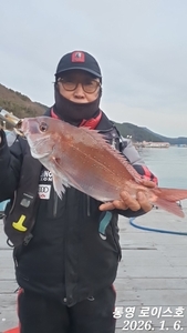 타이라바 철수조황입니다  선상낚시로 잡은 물고기 조황