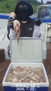 미친 문어 조황 선상낚시로 잡은 물고기 조황