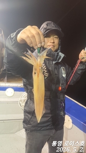 한치 철수조황입니다  선상낚시로 잡은 물고기 조황
