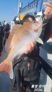 주말 기상 물때 베스트 오브 베스트 선상낚시로 잡은 물고기 조황