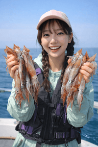 화살촉오징어 "핫" "핫" "핫" 선상낚시로 잡은 물고기 조황