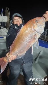 주말 타이라바 출항합니다  선상낚시로 잡은 물고기 조황