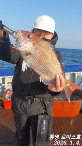 타이라바 조황좋습니다~ 선상낚시로 잡은 물고기 조황