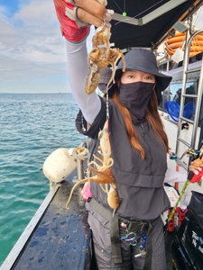 <<팀인천루키나호>> 9.14.목 <<쭈갑조황>> 선상낚시로 잡은 물고기 조황