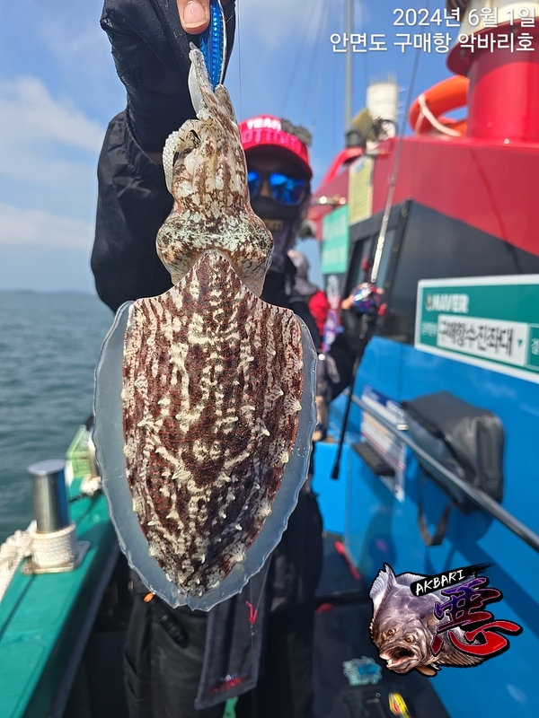 악바리호의 조황일지 이미지 - 11