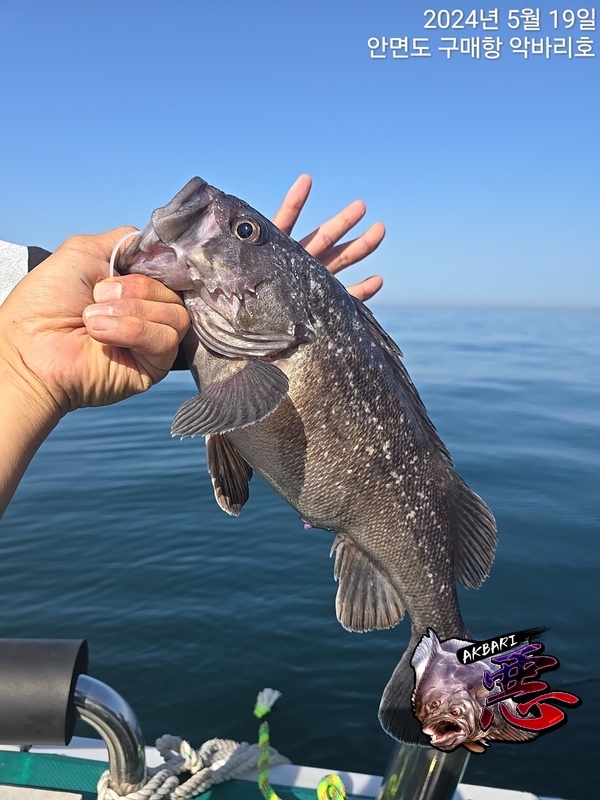 악바리호의 조황일지 이미지 - 3