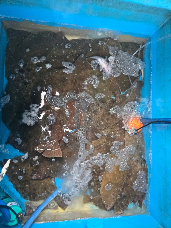 악바리호의 조황일지 이미지 - 1