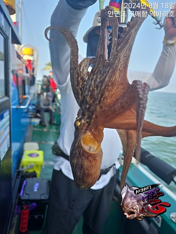 악바리호의 조황일지 이미지 - 14