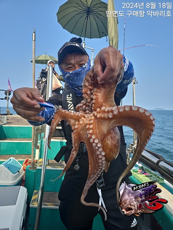 악바리호의 조황일지 이미지 - 19