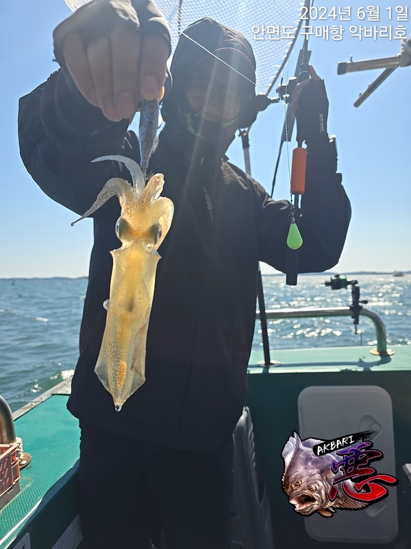 악바리호의 조황일지 이미지 - 14