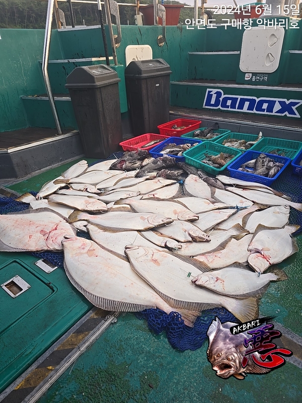 악바리호의 조황일지 이미지 - 0