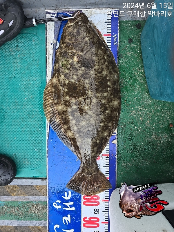 악바리호의 조황일지 이미지 - 11