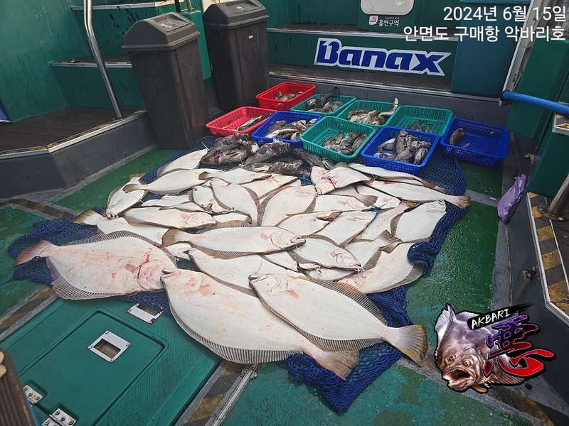 악바리호의 조황일지 이미지 - 19