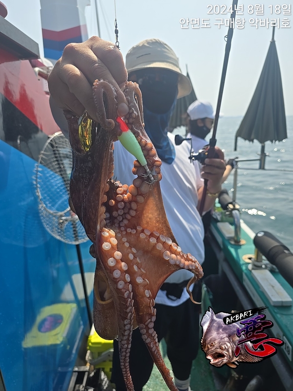 악바리호의 조황일지 이미지 - 9