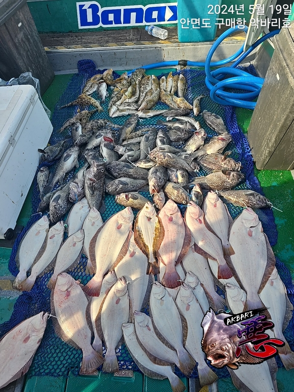 악바리호의 조황일지 이미지 - 1