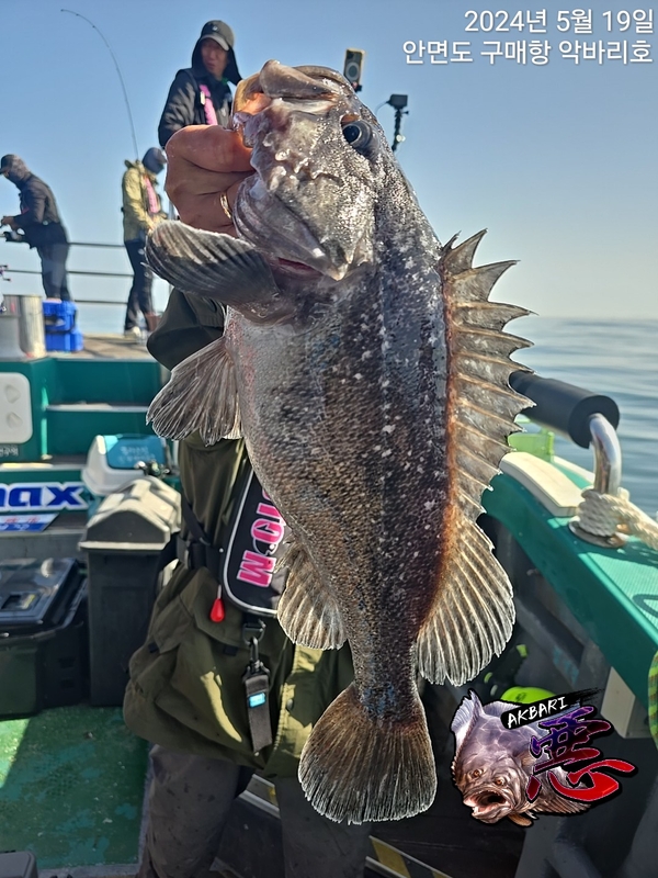 악바리호의 조황일지 이미지 - 4