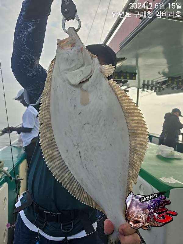 악바리호의 조황일지 이미지 - 16